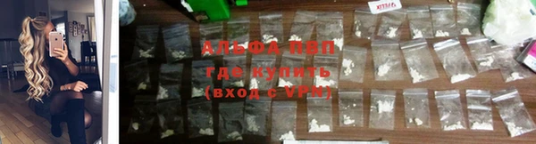 спиды Гусев
