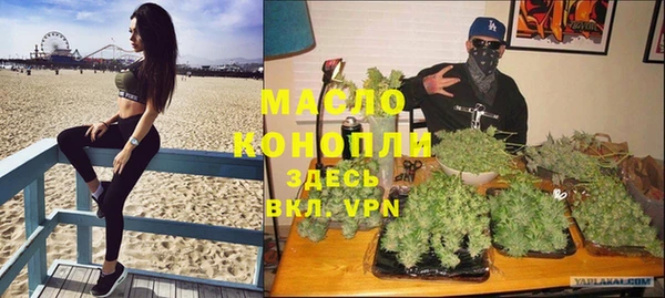 спиды Гусев