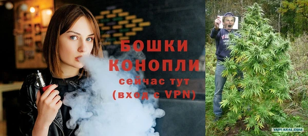 амф Гусь-Хрустальный