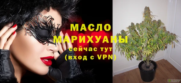 амф Гусь-Хрустальный
