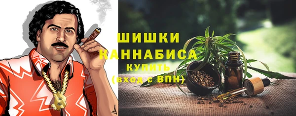 амф Гусь-Хрустальный