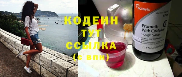 спиды Гусев