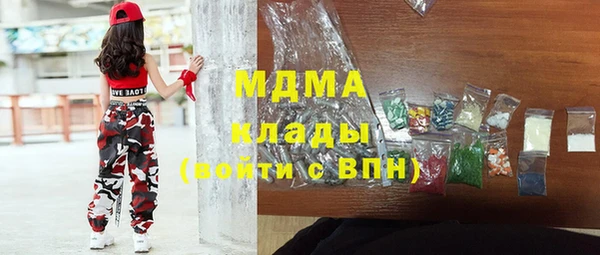 амф Гусь-Хрустальный