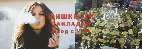 амф Гусь-Хрустальный