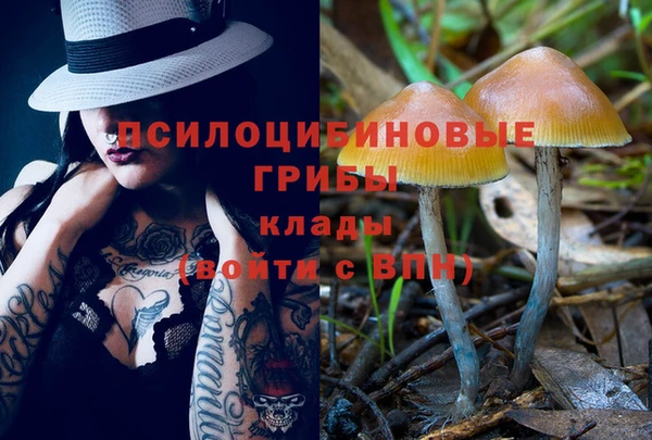 спиды Гусев