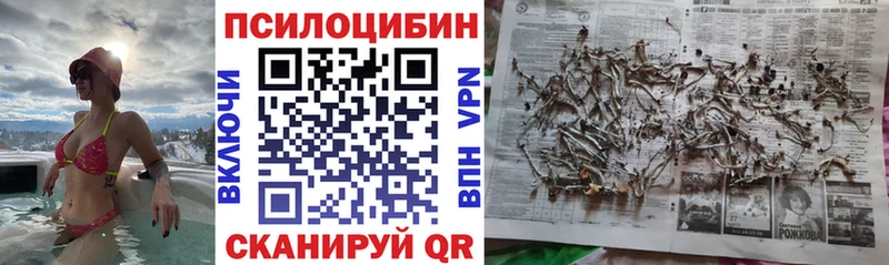 Галлюциногенные грибы ЛСД Павловск