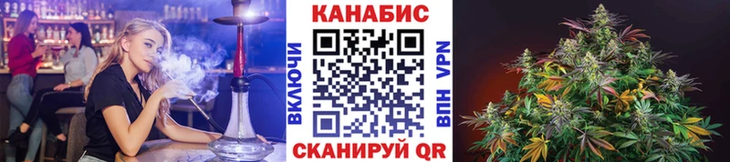 даркнет сайт  Павловск  kraken как зайти  Бошки марихуана конопля 